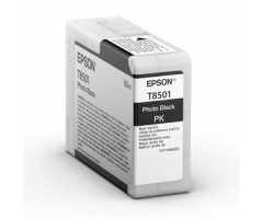 Epson Ink Photo Black UltraChrome HD (C13T850100)