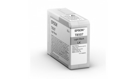 Epson Ink Light Black UltraChrome HD (C13T850700)