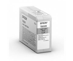 Epson Ink Light Light Black UltraChrome HD (C13T850900)