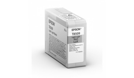 Epson Ink Light Light Black UltraChrome HD (C13T850900)