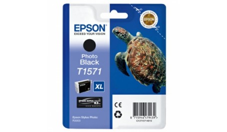 Epson Ink Photo Black (C13T15714010)